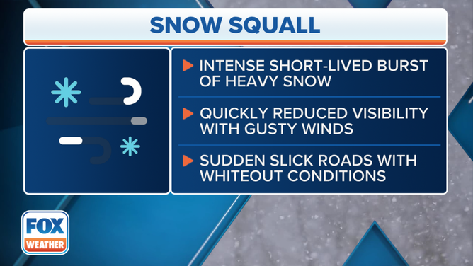 Snow Squall