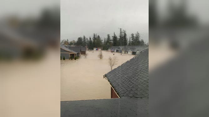 Flooding on Nov. 15, 2021 in Nooksack, Washington. (Image credit: Sierra Neitling)