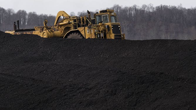 Coal pile at US power plant