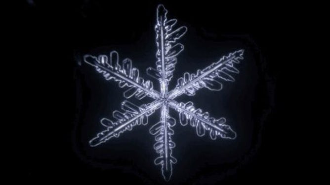 Snowflake Above Freezing