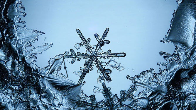 Snowflake Shape