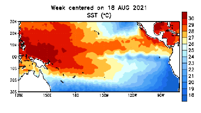 This animation shows how average sea-surface temperature anomalies (Celsius) have changed from mid-August to early November. Anomalies, or departures from average, are computed with respect to the 1991-2020 base period weekly averages.