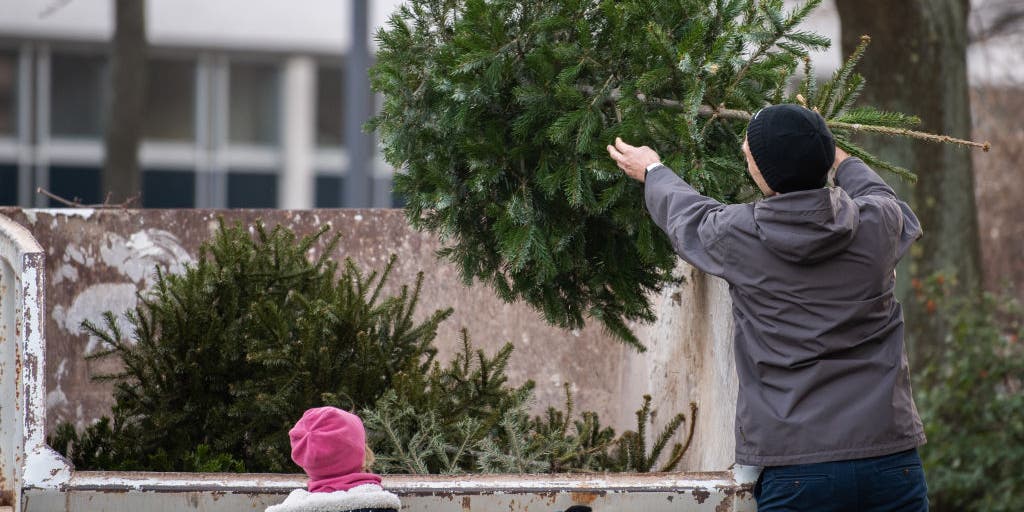 What to do with your Christmas tree after the holidays Fox Weather