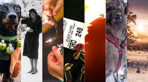 7 things to talk about during your Christmas vacation