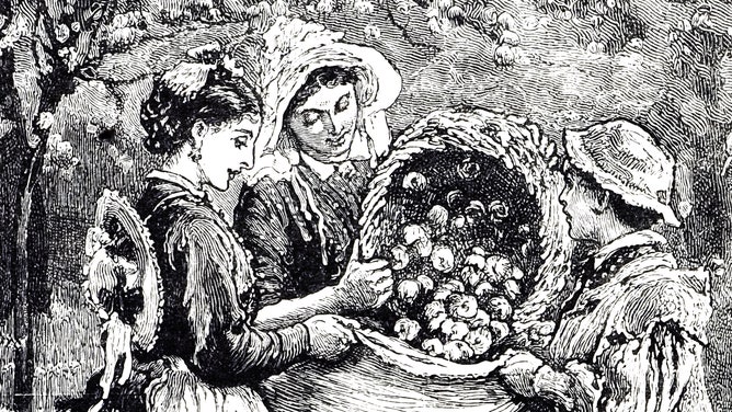 Fruit pickers in the 19th century collecting apples for cider.