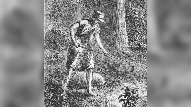 Chapman planting apple seeds in the wilderness. Although he never wore a tin pot hat, he is believed to have made and worn a baseball cap-like hat with a long front brim to keep the sun out of his eye while he worked.