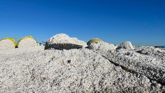 Tornado damage in Leachville, AR 12/21