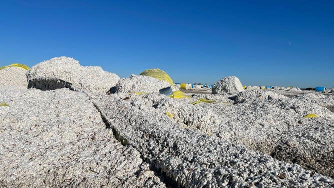 Tornado damage in Leachville, AR 12/21