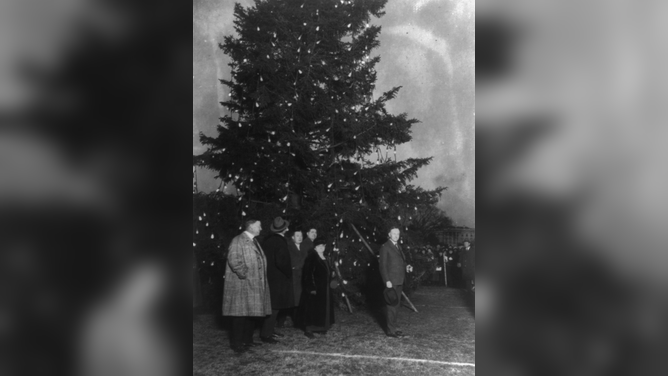 In 1924, President Calvin Coolidge illuminated the National Christmas tree in Washington, D.C. with electric lights.
