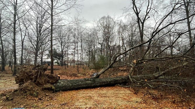 Damage in Coffee County, Tennessee 12-6-21