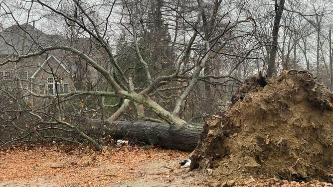 Damage in Coffee County, Tennessee 12-6-21