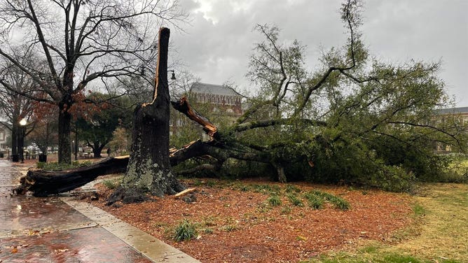 MSU storm damage 12-6-21