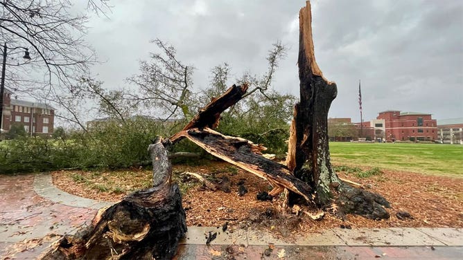 MSU storm damage 12-6-21