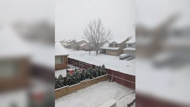 Snow in Denver on Dec. 10, 2021 ended a 233-day snowless streak. (Image credit: Kelly Speck)