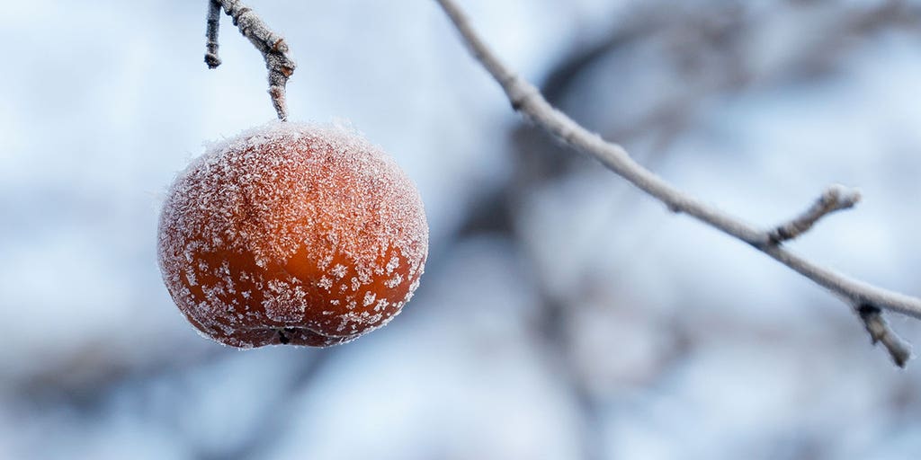 Frost Line: How Deep the Cold Really Reaches