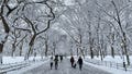 New York City to Boston faces threat of frozen precipitation along I-95 corridor over weekend - Fox News