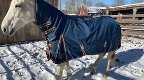 Keeping rescue horses warm in the frigid air proves challenging in Upstate NY