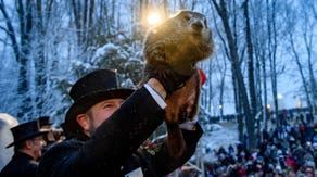 How accurate is Punxsutawney Phil?