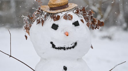 NOAA vs. farmers' almanacs: Whose winter outlook will be right?