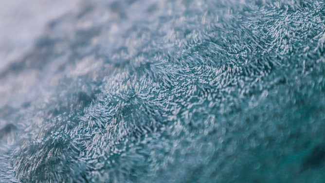 Frost in St. Augustine, Florida on Jan. 24, 2022. (Image credit: @SierraMikeRomeO)