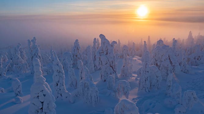 The sun sets behind snowy spruce trees in Kuusamo, Finland. In the middle of winter, the northernmost parts of Finland can go for days or weeks without seeing sunlight.