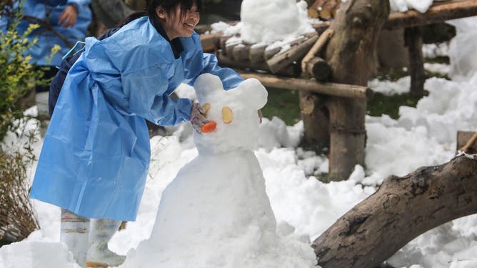 A staff member makes a snowman for pandas at the Chengdu Research Base of Giant Panda Breeding in Chengdu, China.