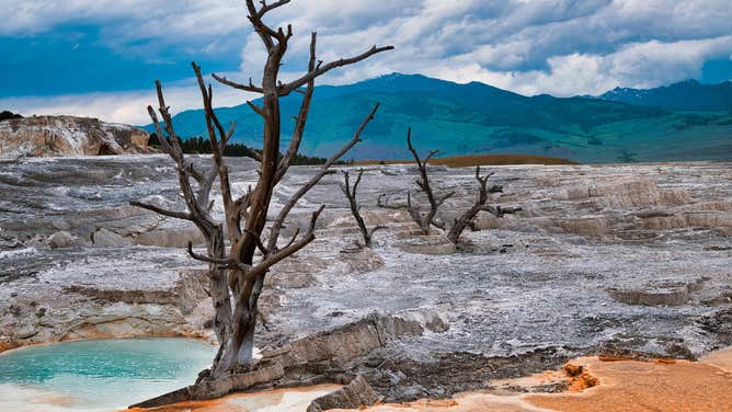 The temperature and chemistry of some hot springs make them inhospitable for most organisms.