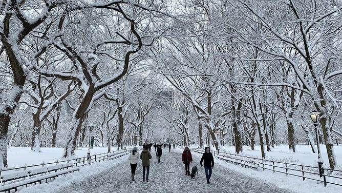 Central Park Snow 1-7-22