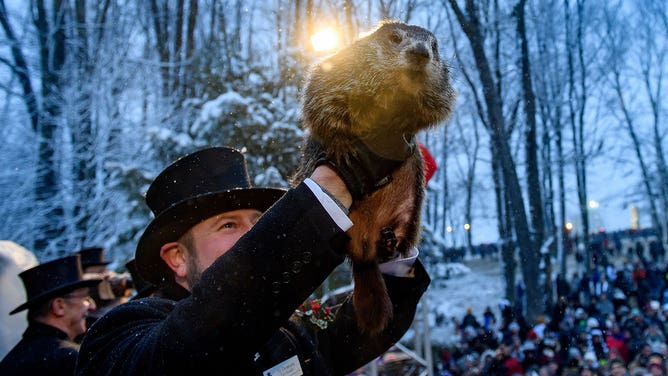 Groundhog Day Punxsutawney Phil 2/2/2020