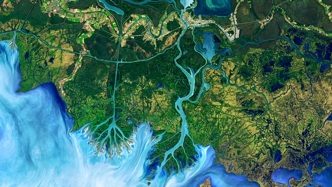 A false-color Landsat 8 image of wetlands around the Mississippi Delta, where winds have sculpted and reshaped ponds, lakes, and marshes over time.