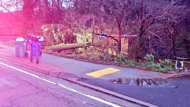 A tree fell on a home in Decatur Monday, killing a 5-year-old boy. (Image: FOX 5 Atlanta)