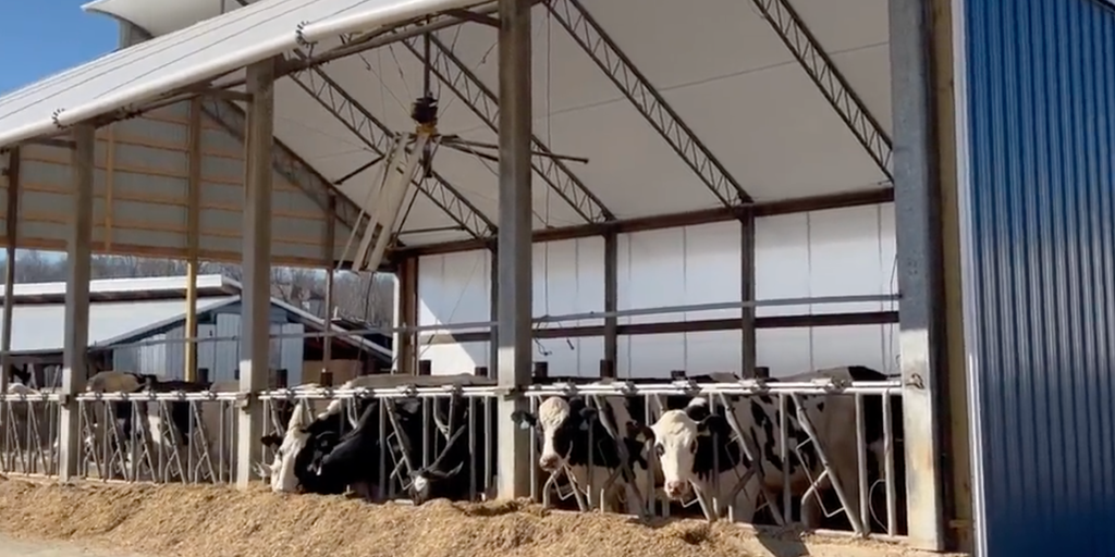 New Jersey's largest dairy farm still recovering 6 month after tornado
