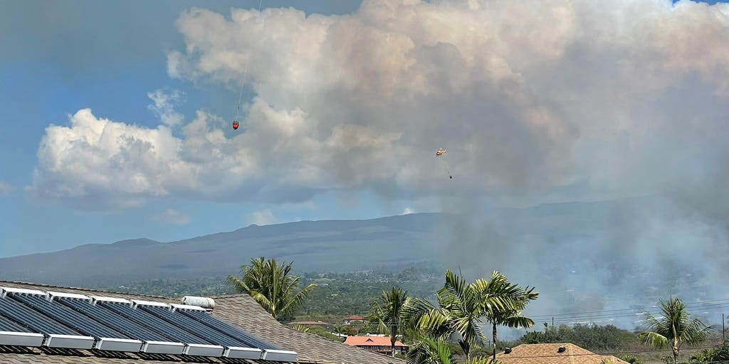 Fastmoving brush fire forces evacuations on Hawaii’s Big Island Fox