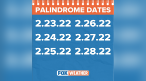 If you thought 'Twosday' was cool, February has many more palindromes