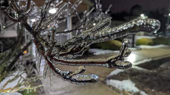 Northeast wakes up to flash freeze, just after coast-to-coast storm sparks travel chaos - Fox News