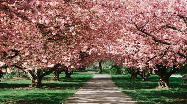 First day of spring is March 20: Here's the science behind the vernal equinox