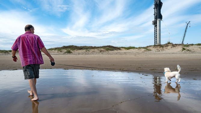 A man walks his dog on the beach near SpaceX's first orbital Starship SN20 stacked atop its massive Super Heavy Booster 4 at the company's Starbase facility near Boca Chica Village in South Texas on February 10, 2022. - Elon Musk's SpaceX has reassembled the world's tallest rocket ahead of a highly anticipated update on the company's Starship program in South Texas. (Photo by JIM WATSON / AFP) (Photo by JIM WATSON/AFP via Getty Images)