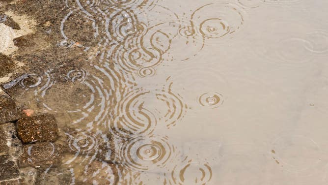 Rain drops create rings of ripples in a puddle. Moist, humid air from rainy weather conditions can compromise the integrity of indoor skating rink ice.