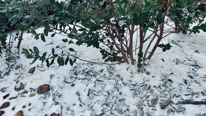 Houston winter storm 2021 2/15/21