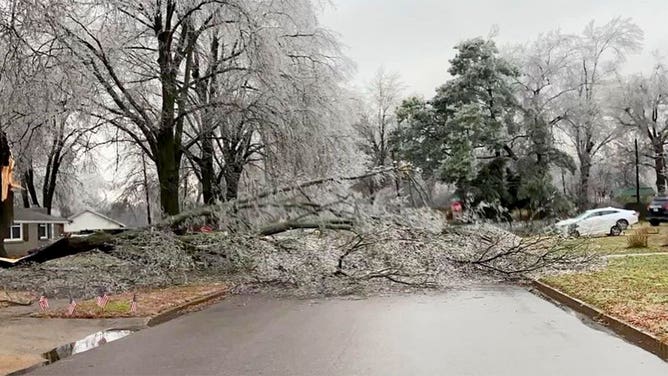Ice damages tree in Arkansas 2/24/22
