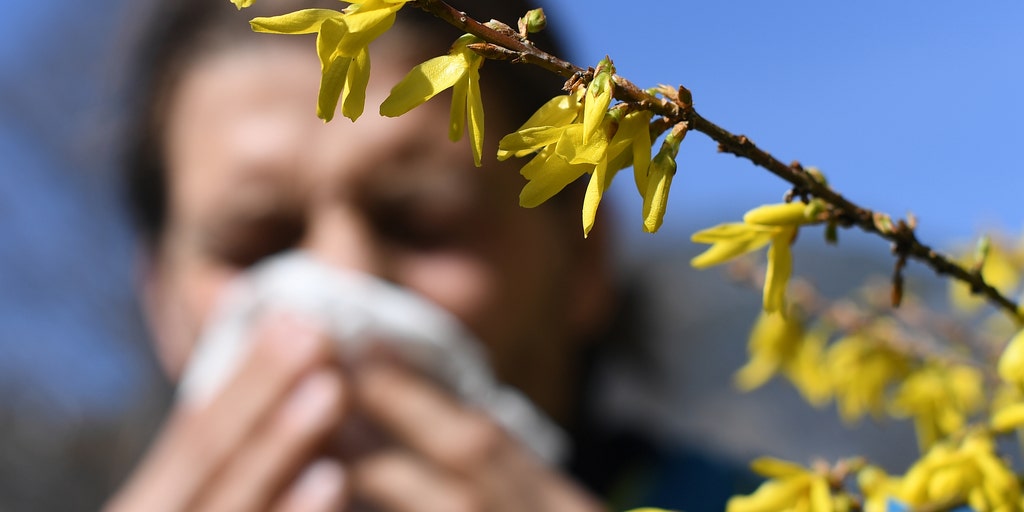 Here are the 10 ‘allergy capitals’ of America in 2022