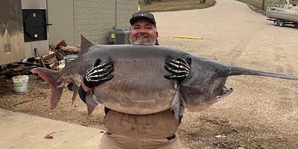 Mother Nature helps man snag 140pound recordmonster in Missouri lake