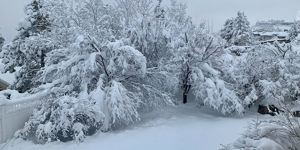 Much-needed snow falling across the Rockies | Fox Weather