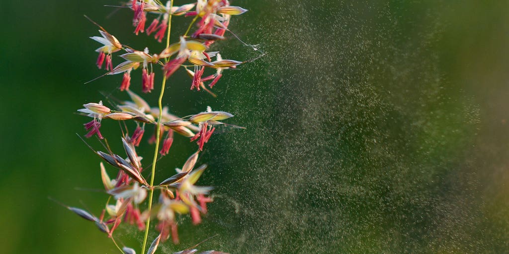 Here are the 10 best places to live in the US if you have seasonal