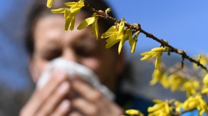 Spring just started but allergies already a headache for millions across US