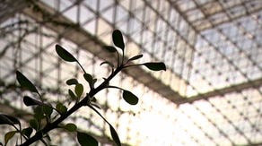 Biosphere 2, once used to prepare us for other planets, now researches the future of our own