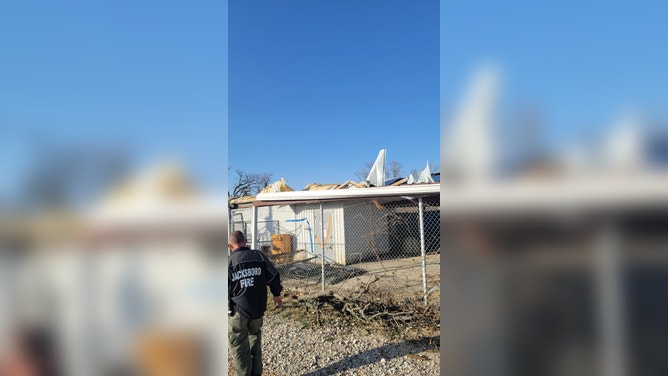 Photos of dogs rescued from the Jacksboro Animal Shelter that was damaged in a tornado on Monday night in Texas.