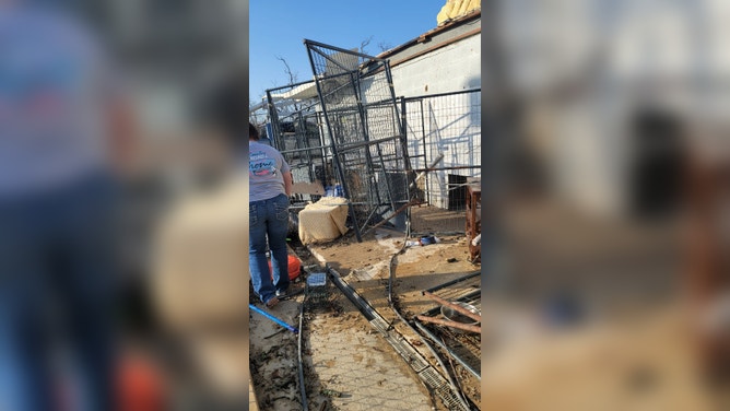Photos from the Jacksboro Animal Shelter that was damaged in a tornado on Monday night in Texas.