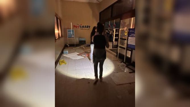 Texas Humane Heroes go into a tornado-damaged PetSmart in Round Rock, Texas to rescue dogs. (Image credit: Texas Humane Heroes)