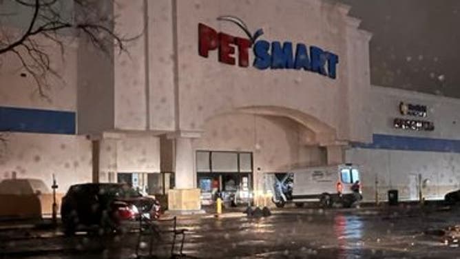 A tornado-damaged PetSmart in Round Rock, Texas on March 21, 2022. (Image credit: Texas Humane Heroes)